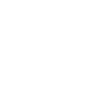 DMS-LOGO-WHITE DMS-LOGO-WHITE